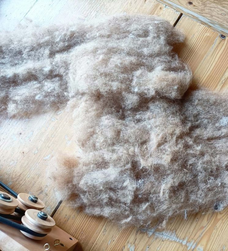 I manufatti del parco egli Alpaca
